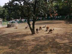 -西安秦岭野生动物园