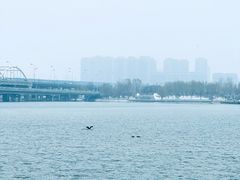-灞河西岸滨河公园