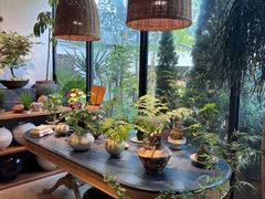 -自由生长植物工作室(深港花卉中心店)