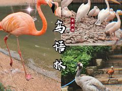 -大连老虎滩海洋公园