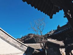 -步步高桥头糕