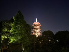 -洋湖国家湿地公园