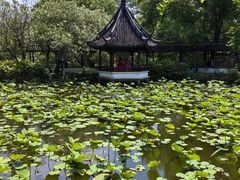 -上海醉白池公园