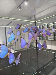 -酷嗒动物文化乐园(cutezoo西溪乐天城店)