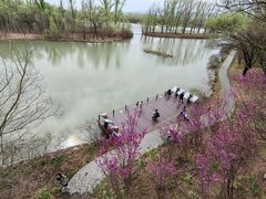 -翠湖国家城市湿地公园