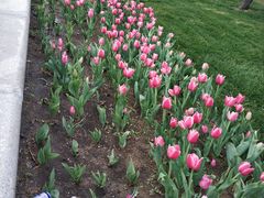 -长春公园(普阳街道)