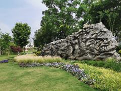 -上海长兴岛郊野公园