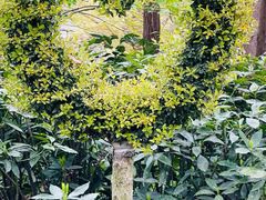 -上海共青森林公园