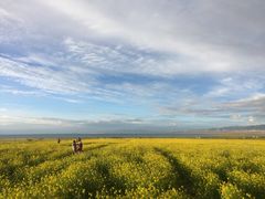 -青海湖国家重点风景名胜区