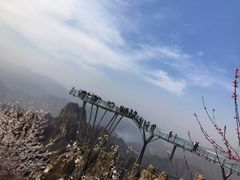 -狼牙山风景区