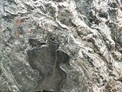-惠和石文化园