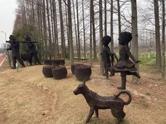 -上海长兴岛郊野公园