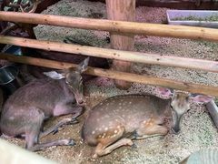 -正佳雨林生态植物园