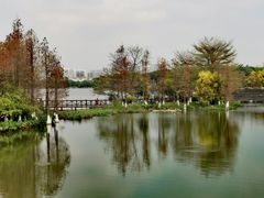 -海珠湖公园