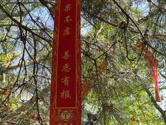 -慈恩寺