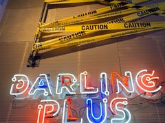 -Darling Queen·Mini·Live·House