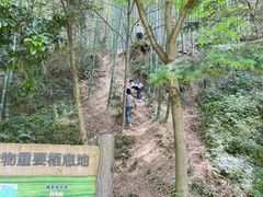 -上海佘山国家森林公园天马山园