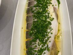 -便宜坊烤鸭店(科创店)