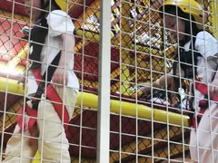 -证大大拇指广场(芳甸路店)