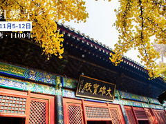 -潭柘寺景区