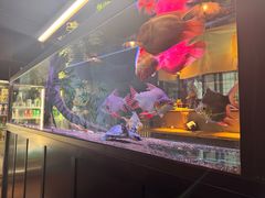 -阿泽料理