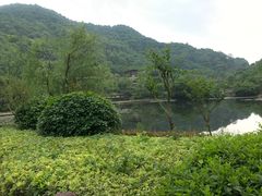 -桃花岭景区