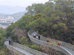-福道