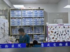 -康成宠物医院24H·CT·核磁共振
