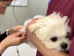 -爱侣宠医·鹦鹉专科·小型哺乳类·异宠专科(灵石路店)