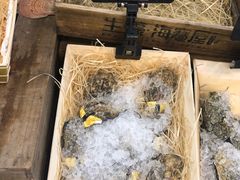 -HIHE Bistro·Oyster Bar(华熙live店)