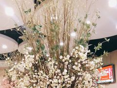 -黑松白鹿(崇文门新活馆店)