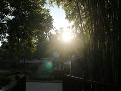 -林丰温泉度假山庄