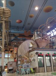 -卡通尼·Safari非洲探索乐园·生日会(金桥国际商业广场店)