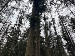-象山森林公园