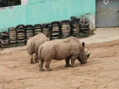 -西霞口神雕山野生动物世界