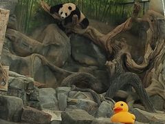 -武汉动物园