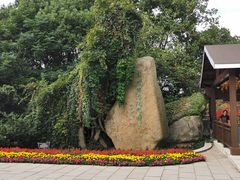 -宝岩生态观光园
