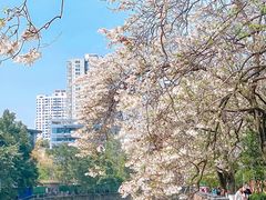 -红星桥(地铁站)