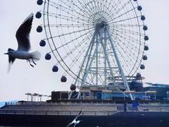 -琴岛之星摩天轮