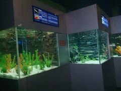 -洛阳龙门海洋馆