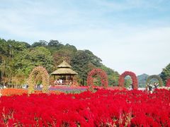 -广州市石门国家森林公园