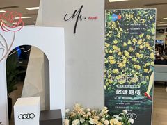 -成都华星名仕奥迪4S店(龙潭寺店)