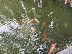 -珠海圆明新园