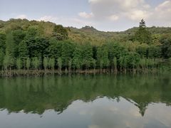 -广州市白云山风景名胜区