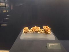-温州博物馆