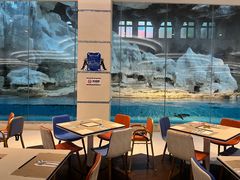 -帝企鹅自助餐厅•儿童岛•真企鹅(长隆企鹅酒店)