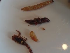 -慢丽江·云南野生菌土鸡锅(付家庄店)