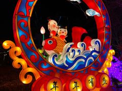 -北京石景山游乐园
