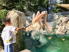 -波塞冬海底世界