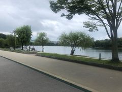 -星巴克(大濠公园店)